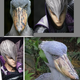 Image for article titled Japan's "Totally Looks Like" Meme Is Totally Amusing